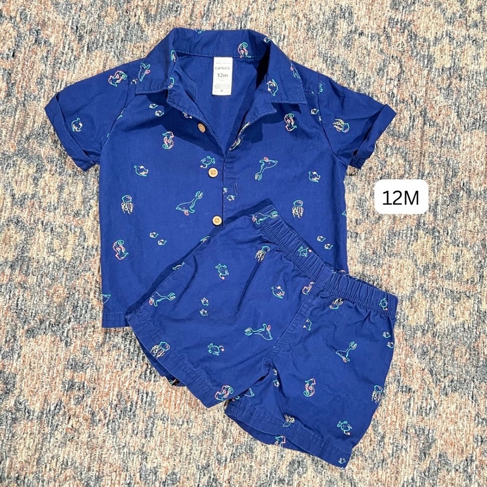 Print Shirt and Shorts Set